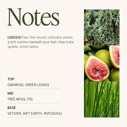 LA JOLIE MUSE Kyoto Vine & Moss Candle - Green Leaves, Tree Moss, Vetiver | 6 oz Natural Soy Wax | 40 Hours Clean Burn | Fresh Scented Candle | Gift-Ready for Hosts & Gatherings