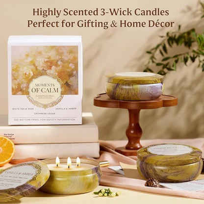 3-Pack Large 3-Wick Tin Candle Set, 14oz Each — White Tea & Sage, Vanilla Amber, Cashmere Cedar — Luxury Strong-Throw Aromatherapy Candles in Gift Gold 6.3 x 7.09 in