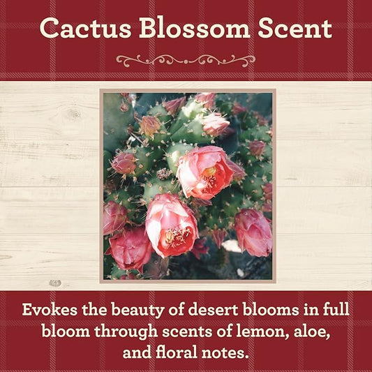 Our Own Candle Company, Cactus Blossom Scented Mason Jar Candle, 100 Hour Burn Time, 13 Ounces