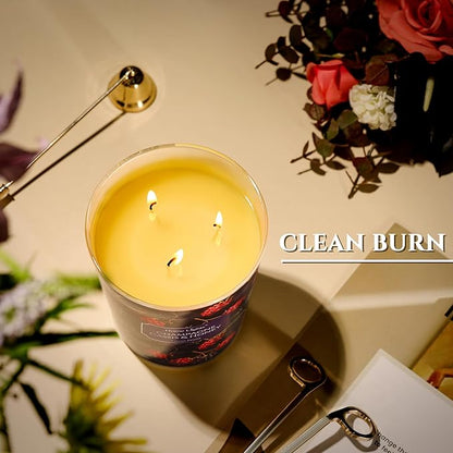 HomeLights Scented Candles | Large Jar 34 Oz Natural Soy Candle | 130 hrs Long-Lasting with 3 Wicks | Eclectic Mixed Styles Home Decor | Gifts for Mom & Women, Champagne Cassis & Honey