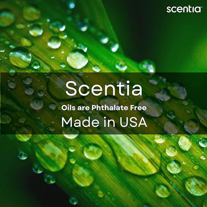 Scentia Hotel Diffuser Oil Inspired by The Wynn, Las Vegas Hotel - 120 mL 4.06 fl oz - Essential Oil Blend Melon, Raspberry, Jasmine & Lemon for Aromatherapy Diffusers - Mystical, Thanksgiving Gift