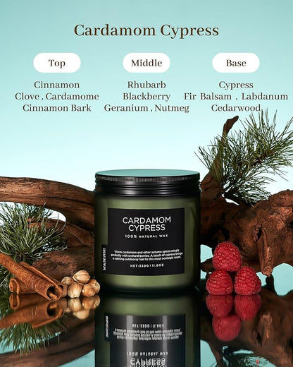 M&SENSE Spice Cardamom Cypress Large Soy Candles for Home Scented 2 Wick Large Soy Natural Candles 11.6oz 70 Hours Long Lasting Slow Burning, Christmas Holiday Woody Scented Winter Gifts