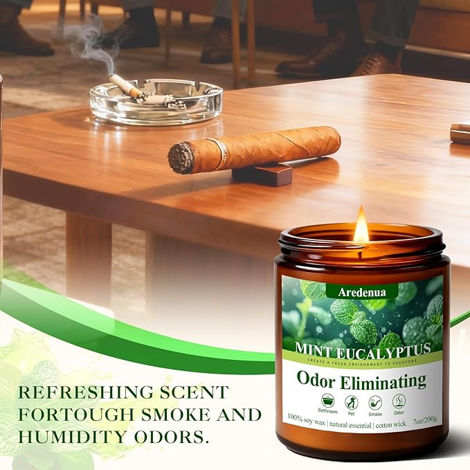 Mint Eucalyptus Odor Eliminating Candles | Eliminates 95% of Pet, Smoke & Bathroom Odors – 7 oz Hand Poured Non-Toxic Soy Candle - Air Freshing Scented Candles - Stress Relief Gifts for Women Men