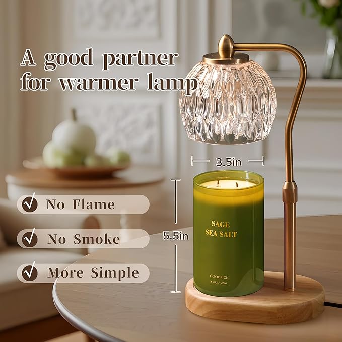 Goodpick Scented Candles, Sea Salt Sage for Cleansing House, Father's Day, Soy Candle for Women, 22oz Large Long-Lasting