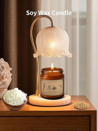 Scented Candles for Home, 16oz Large Jar Scented Candle – Lemon Verbena Soy Wax Candle with 100 Hour Burn Time, Long Lasting Aromatherapy Candle for Home Fragrance, Relaxation & Gift for Women/Men
