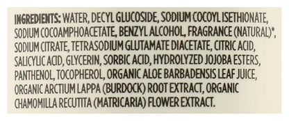 365 by Whole Foods Market, Hand Soap Foaming Satsuma Eucalyptus, 12 Fl Oz (Pack of 2)