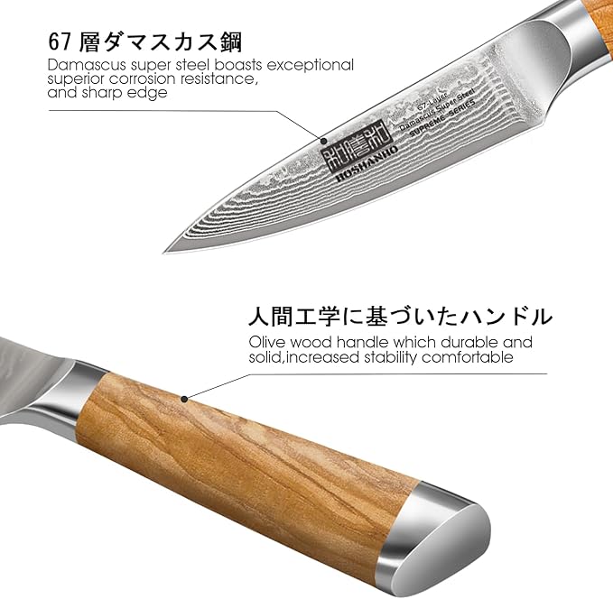 Damascus Paring Knife 3.75 Inch, Professional 67 Layers Damascus Super Steel Small Fruit Knife, Super Sharp Hand Forged Japanese Paring Knife