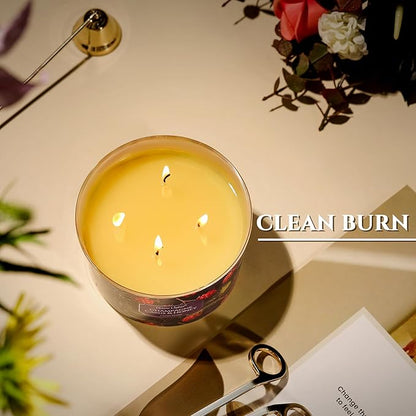 HomeLights Scented Candles for Women & Men, 18oz Candle Jars Aromatherapy 4-Wick Candle, Ideal for Eclectic Mixed Styles Home Decor and Gifts, Champagne Cassis & Honey