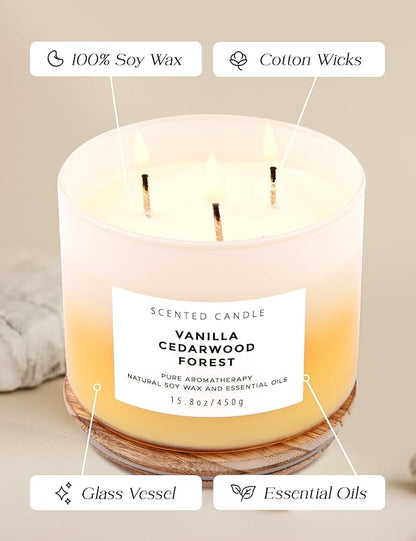 Vanilla Cedarwood Forest 3-Wick Soy Scented Candle, 15.8 oz | Warm Vanilla Woods Candle with Cedar, Balsam, Clove & Jasmine | Winter Aromatherapy Candle for Home, Clean Burning