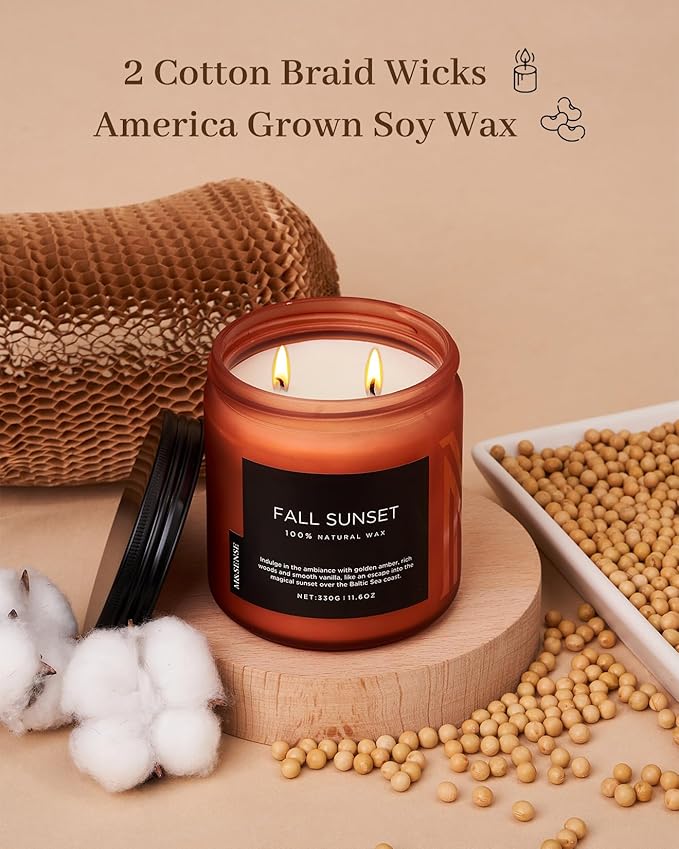 M&SENSE Baltic Amber Scented Candle, Clean Soy Wax Non Toxic 11.6oz 70 Hours Long Lasting Burn, Double Cotton Wick, Relaxing Aromatherapy Candles for Stree Relief, Winter Holiday Gifts Women Men