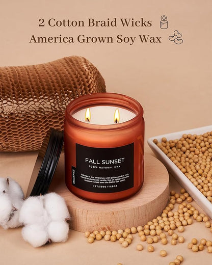 M&SENSE Baltic Amber Scented Candle, Clean Soy Wax Non Toxic 11.6oz 70 Hours Long Lasting Burn, Double Cotton Wick, Relaxing Aromatherapy Candles for Stree Relief, Winter Holiday Gifts Women Men
