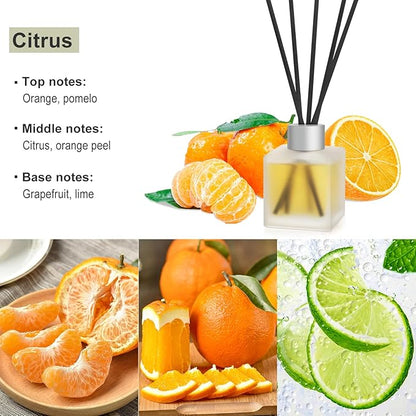 Reed Diffuser, Citrus & Orange Scented Oils Home Fragrance, 3.4fl oz(100ml) Long Lasting Fruity Air Freshener, Essential Oil for Bathroom Guest Room Decor (2 Pack)