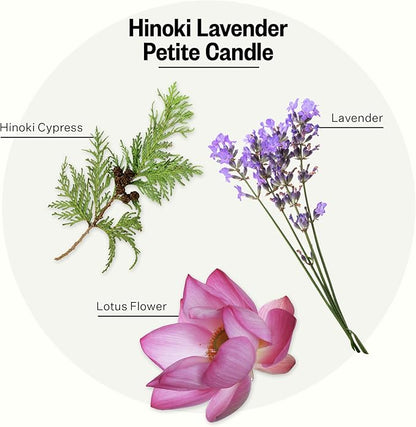 Apotheke Luxury Scented Candles for Home, Hinoki Lavender - Petite Aromatherapy Jar Candle with Soy Wax Blend