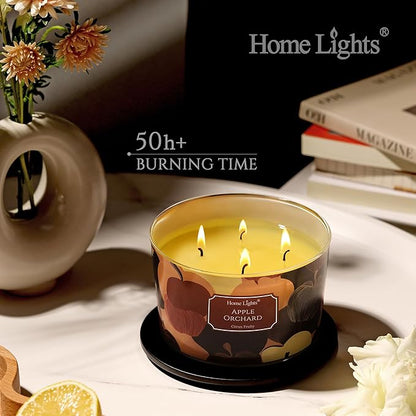 HomeLights Soy Wax Candles for Home Scented, 4-Wick Candles in Apple Orchard Scented, Aromatherapy Candles Gift for Parties, Relaxing, Eclectic Mixed Styles, 18oz