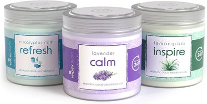 Wipex Odor Eliminator Gel Jar Variety Pack, 3pk - Odor Eliminator for Home, Odor Absorber with Inspire Lemongrass, Refresh Eucalyptus and Mint, Calm Lavender Scents, 3pk