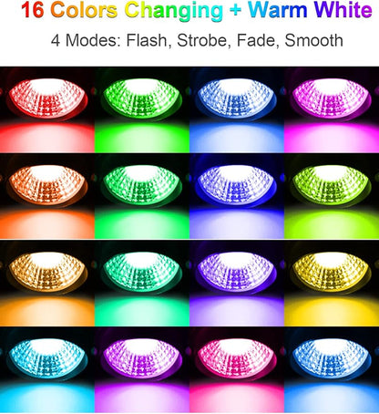 ZUCKEO 10W RGB Color Changing Landscape Lights, Outdoor Waterproof LED Spotlights with Remote & Plug for Garden, Yard, Patio, Driveway, Birthday & Holidays Decoration