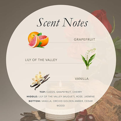 Bia Candle Co Soy Blend Candle, Cassis, Grapefruit & Cherry with Jasmine, Rose & Muguet Over Vanilla, Golden Amber & Cedar – Clean Burn, Lead-Free Cotton Wick – Velvet Goddess, 7 oz