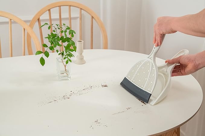 Broombi Brush & Dustpan with Mini Pet Hair Remover