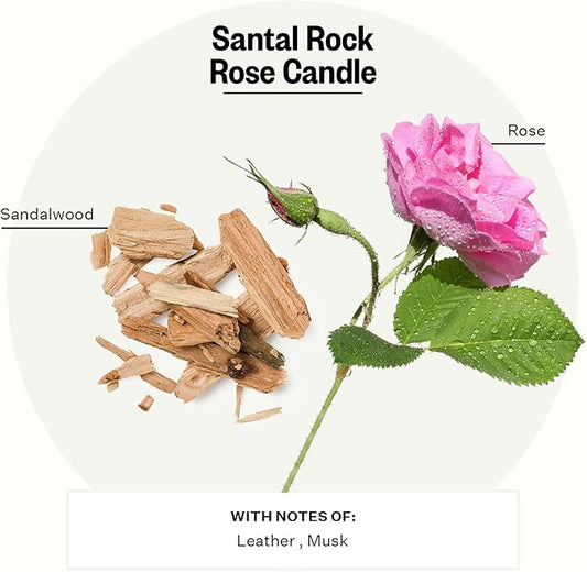 Apotheke Signature Scented Candles for Home, Santal Rock Rose - 10.5 oz - Soy Wax, Non Toxic, Large Jar White - Luxury Candle Gifts for Women & Men - Sandalwood, Rose, Musk, and Leather