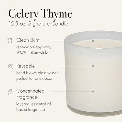 LAFCO New York Signature Candle, Celery Thyme - 15.5 oz - 90-Hour Burn Time - Reusable, Hand Blown Glass Vessel - Made in The USA