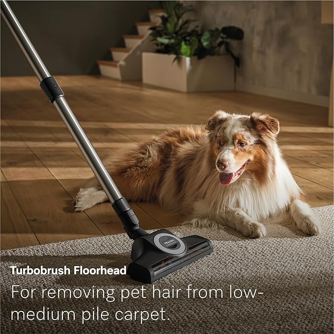 Miele New Guard M1 Cat & Dog Bagged Canister Vacuum for Pet Owners with Odor-Reducing Active AirClean Filter, TurboTeQ Floorhead, and AllTeQ Universal Floorhead, in Obsidian Black/Space Grey