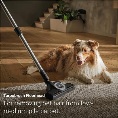 Miele New Guard M1 Cat & Dog Bagged Canister Vacuum for Pet Owners with Odor-Reducing Active AirClean Filter, TurboTeQ Floorhead, and AllTeQ Universal Floorhead, in Obsidian Black/Space Grey