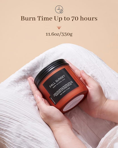 M&SENSE Baltic Amber Scented Candle, Clean Soy Wax Non Toxic 11.6oz 70 Hours Long Lasting Burn, Double Cotton Wick, Relaxing Aromatherapy Candles for Stree Relief, Winter Holiday Gifts Women Men