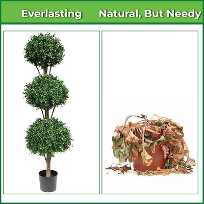 Two 66 Inch Artificial Boxwood Triple Ball Topiary Trees Potted UV Rated 5 and a Half Foot Tall