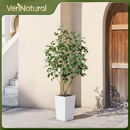 5ft Tall Artificial Ficus Tree in White Planter with Pebbles | UV Resistant Faux Tree for Indoor & Outdoor | Realistic Floor Plant Decor for Home, Office (VN128)