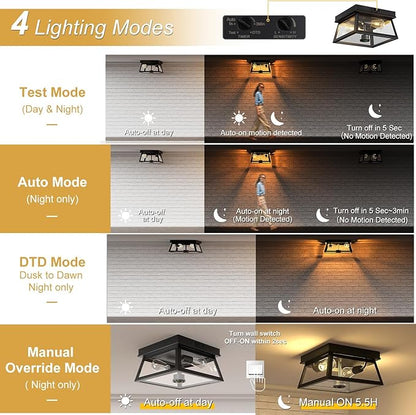 Motion Sensor Outdoor Ceiling Light, Flush Mount Black Porch Ceiling Lights Adjustable 2-Light Fixture with E26 Sockets, Closed Bottom, Glass and Metal for Garage, Patio, Hallway, Farmhouse