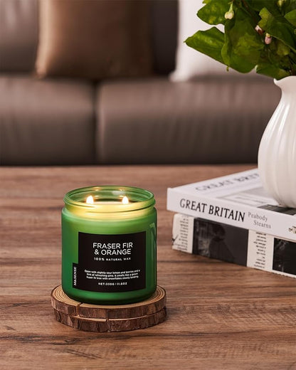 M&SENSE Frasier Fir Pine Scented Candle, Soy Wax Non Toxic for Home Up to 70 Hours, 2 Cotton Wick 11.6oz Christmas Tree Scent Holiday Aromatherapy Candle for Birthday Holiday Gifts