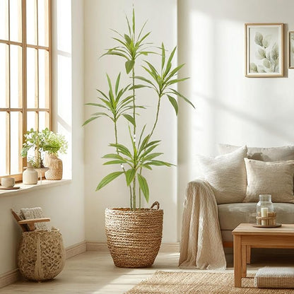 Artificial Cordyline Plant, Indoor Potted Plant, 5 Stems with Black Planter, Suitable for Large Indoor Living Room Decorations, Potted Plants, and Window Display Scenes (Green-5.3ft)