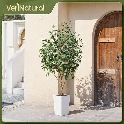 6ft Tall Artificial Ficus Tree in White Planter with Pebbles | UV Resistant Faux Tree for Indoor & Outdoor | Realistic Floor Plant Decor for Home, Office (VN128)