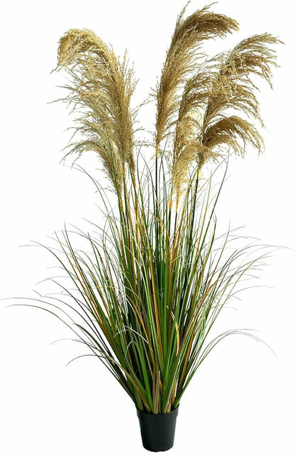 Alonfala - 57" (1-Pack) Pampas Grass Potted Plants - Artificial Faux Plants Featuring Tall Grass, Housewarming, and New Home Celebration. Elevate with Fake Plants, Ideal for Floor Decor.