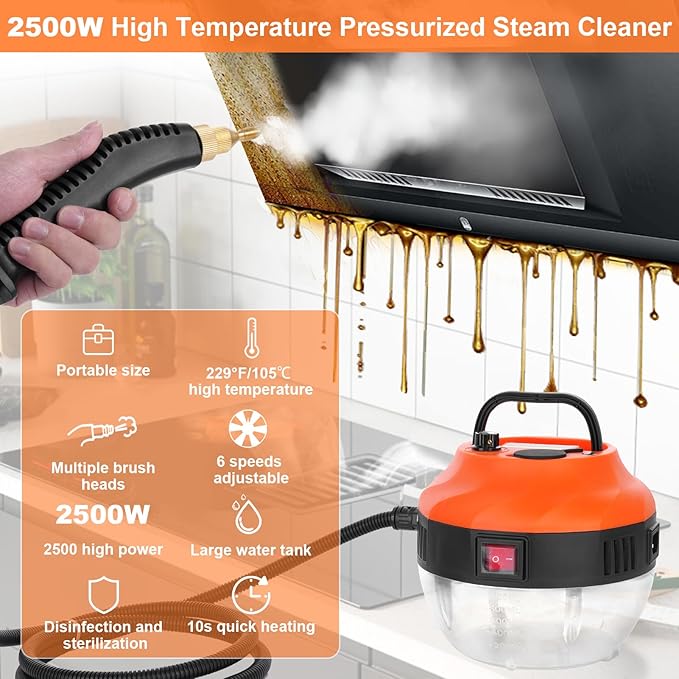 3800W Handheld Pressurized Steam Cleaner, 1000ml Tank,6 Adjustable Settings | High-Temperature Portable Steamer for Car Owners,DIY Enthusiasts for Car Detailing 221°F Pressurized Steam