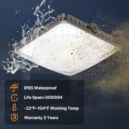 100W LED Canopy Lights with Motion Sensor, Selectable Wattage 100/80/60W IP65 ETL Listed Commercial Canopy Lights for Gas Station Warehouse Garage Shop