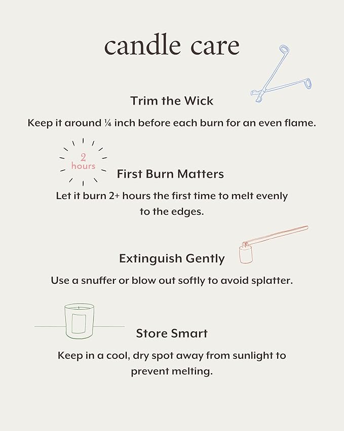 Literie NYC Inspired Scented Candle: Late Fees at The Library - Paper & Linen Scent, 9oz, 50 Hour Burn, Vegan Soy & Coconut Blend Candle for Home Decor, Gift for Women & Men
