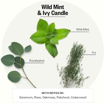Apotheke Signature Scented Candles for Home, Wild Mint & Ivy - 10.5 oz - Soy Wax, Non Toxic, Large Jar White - Luxury Candle Gifts for Women & Men - Eucalyptus, Patchouli, Cedarwood, and Rose