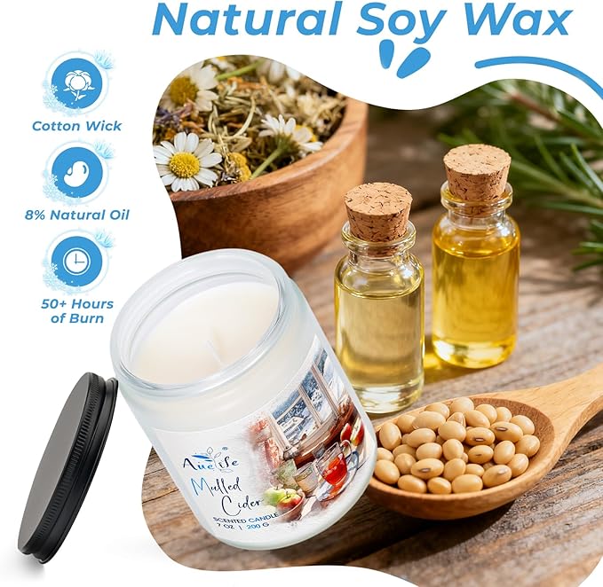 Winter Candles | Eucalyptus & Cedar Scented Soy Candle - Winter Aromatherapy Candles for Relaxing Home Décor, Cozy Holiday Gift for Women & Men, Long Lasting Clean Burn Candle