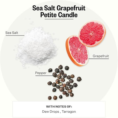 Apotheke Luxury Scented Candles for Home, Sea Salt Grapefruit - Petite Aromatherapy Jar Candle with Soy Wax Blend