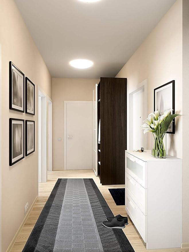 Custom Cut Hallway Runner Rug, Slip Resistant, 31 Inch Wide X Your Choice of Length, Zebra Anthracite, 31 Inch X 15 feet