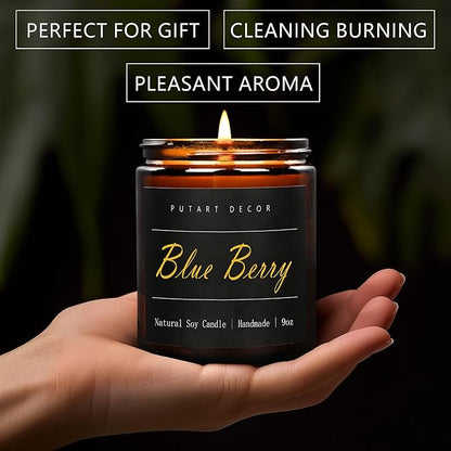 Blue Berry Candles for Home Scented, Natural Soy Aromatherapy Non Toxic Candles with Long Lasting Fragrance & Clean Burn, Luxury Jar Candle Gift for Women, Men, Home Decoration 9oz