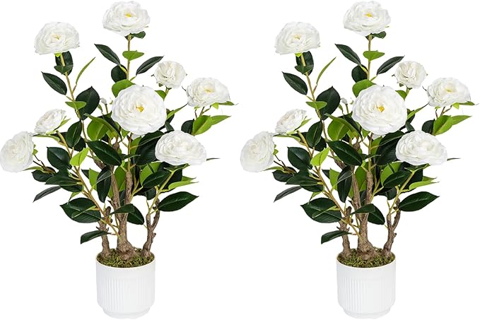 2 Pack Artificial Camellia Tree with White Pot, 24" Faux Potted Plants for Indoor Outdoor Decor, Tall Silk Greenery Plant for Home Office Living Room Balcony, White