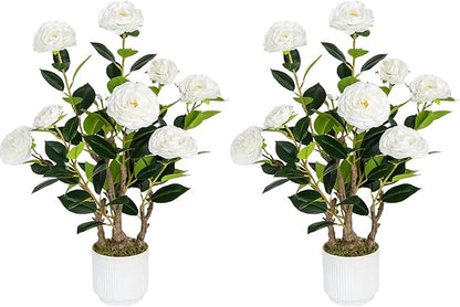 2 Pack Artificial Camellia Tree with White Pot, 24" Faux Potted Plants for Indoor Outdoor Decor, Tall Silk Greenery Plant for Home Office Living Room Balcony, White