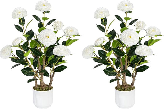2 Pack Artificial Camellia Tree with White Pot, 24" Faux Potted Plants for Indoor Outdoor Decor, Tall Silk Greenery Plant for Home Office Living Room Balcony, White