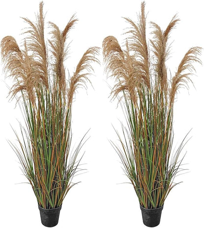 Alonfala - 69" (2-Pack) Pampas Grass Potted Plants - Artificial Faux Plants Featuring Tall Grass, Housewarming, and New Home Celebration. Elevate with Fake Plants, Ideal for Floor Decor