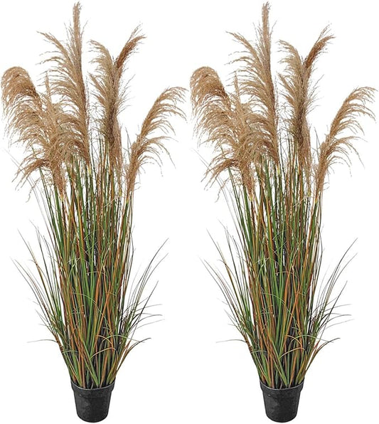 Alonfala - 69" (2-Pack) Pampas Grass Potted Plants - Artificial Faux Plants Featuring Tall Grass, Housewarming, and New Home Celebration. Elevate with Fake Plants, Ideal for Floor Decor
