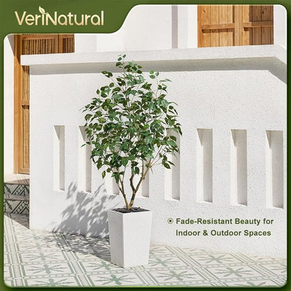 5ft Tall Artificial Ficus Tree in White Planter with Pebbles | UV Resistant Faux Tree for Indoor & Outdoor | Realistic Floor Plant Decor for Home, Office (VN128)