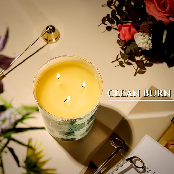HomeLights Scented Candles | Large Jar 34 Oz Natural Soy Candle | 130 hrs Long-Lasting with 3 Wicks | Scandinavian Minimalist Home Decor | Gifts for Mom & Women, Coconut Island