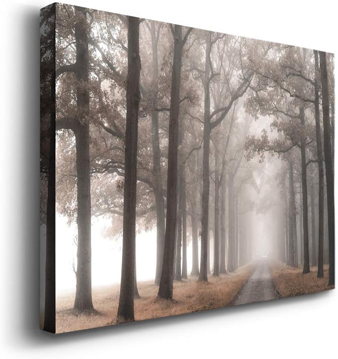 Wexford Home Home Decor Landscape Canvas Wall Art Abstract Floral Painting Modern Pictures Artwork Decoration for Living Room Kitchen Bathroom Office, Ready to Hang, misty road, 32x48